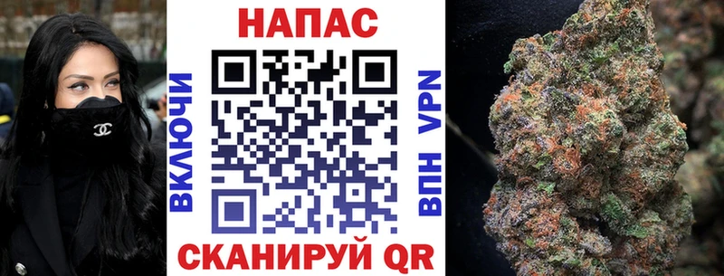 Бошки марихуана семена  hydra зеркало  Киселёвск  купить  